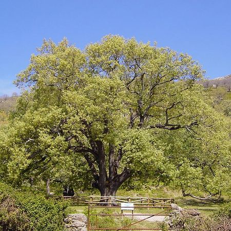 Casa Rural Romanejo Cabezabellosa 外观 照片