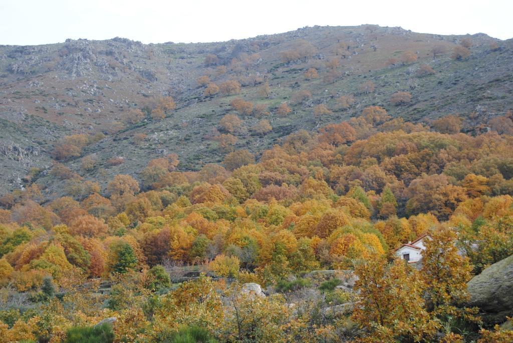 Casa Rural Romanejo Cabezabellosa 外观 照片
