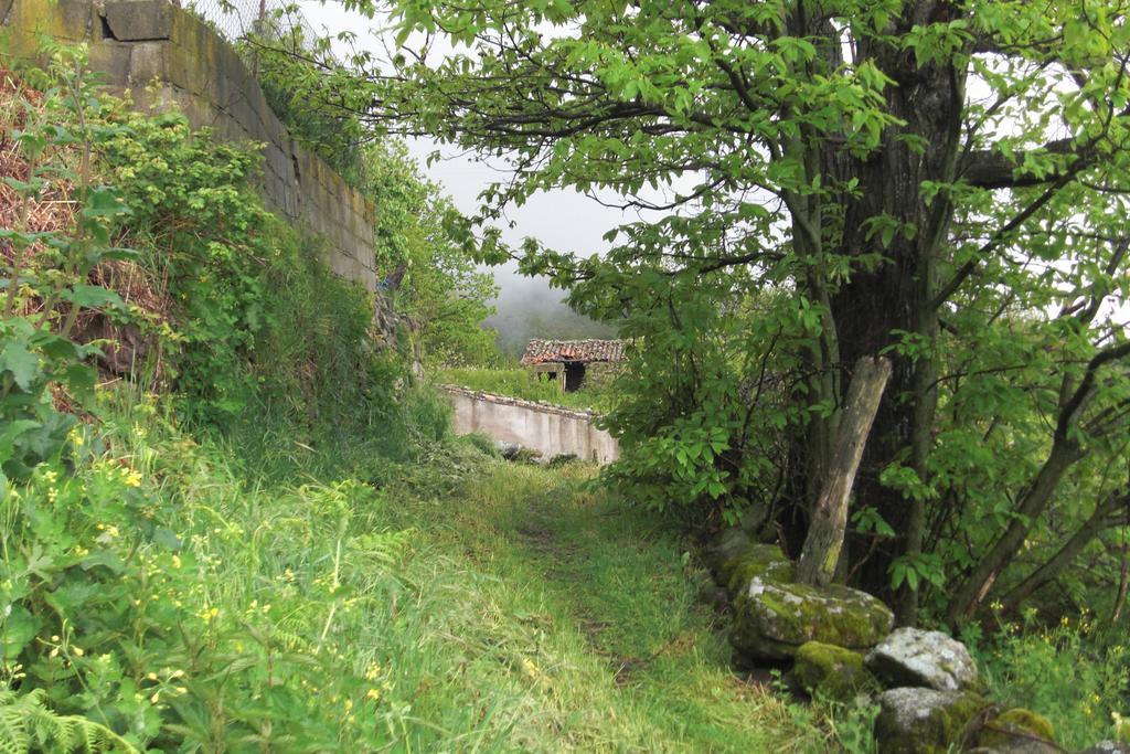Casa Rural Romanejo Cabezabellosa 外观 照片